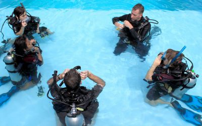 10 Essential Scuba Dive Tips for Beginners to Improve Your Diving Experience