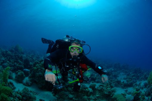 Cleanup Dives in Aqaba, Red Sea