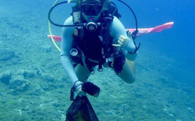 Sustainable Diving: How to Choose a Dive Center that Commits to the Environment and Preserves Marine Life