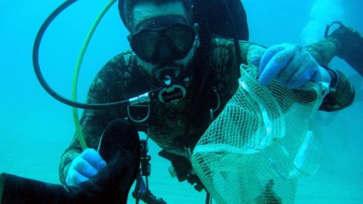 Cleanup dives activities in Aqaba