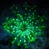 Night Dive in Aqaba - Aqaba Diving