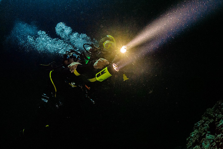 Experience the Magic: Night Diving in Aqaba , Jordan’s Red Sea Paradise
