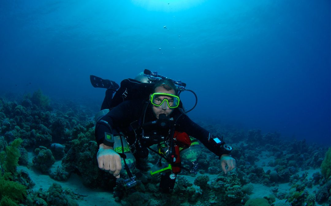 Your First Dive: What to Expect and How to Prepare for Scuba Diving