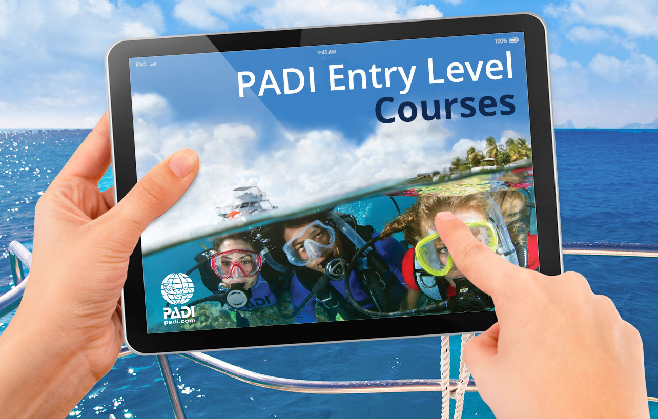 PADI Entry Level Diving Courses - Dive in Aqaba