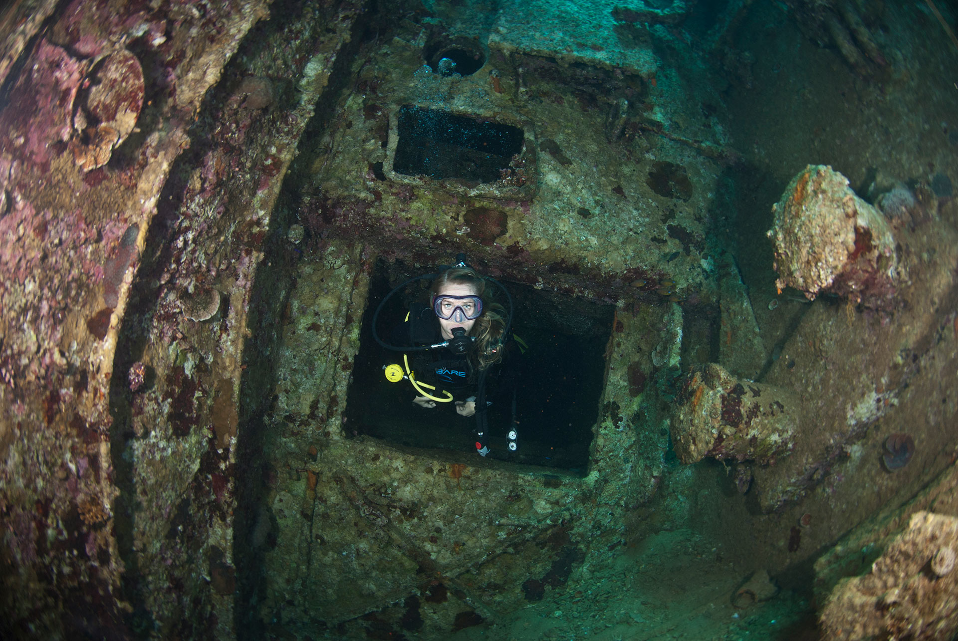 Guided Dives - Diving in Aqaba