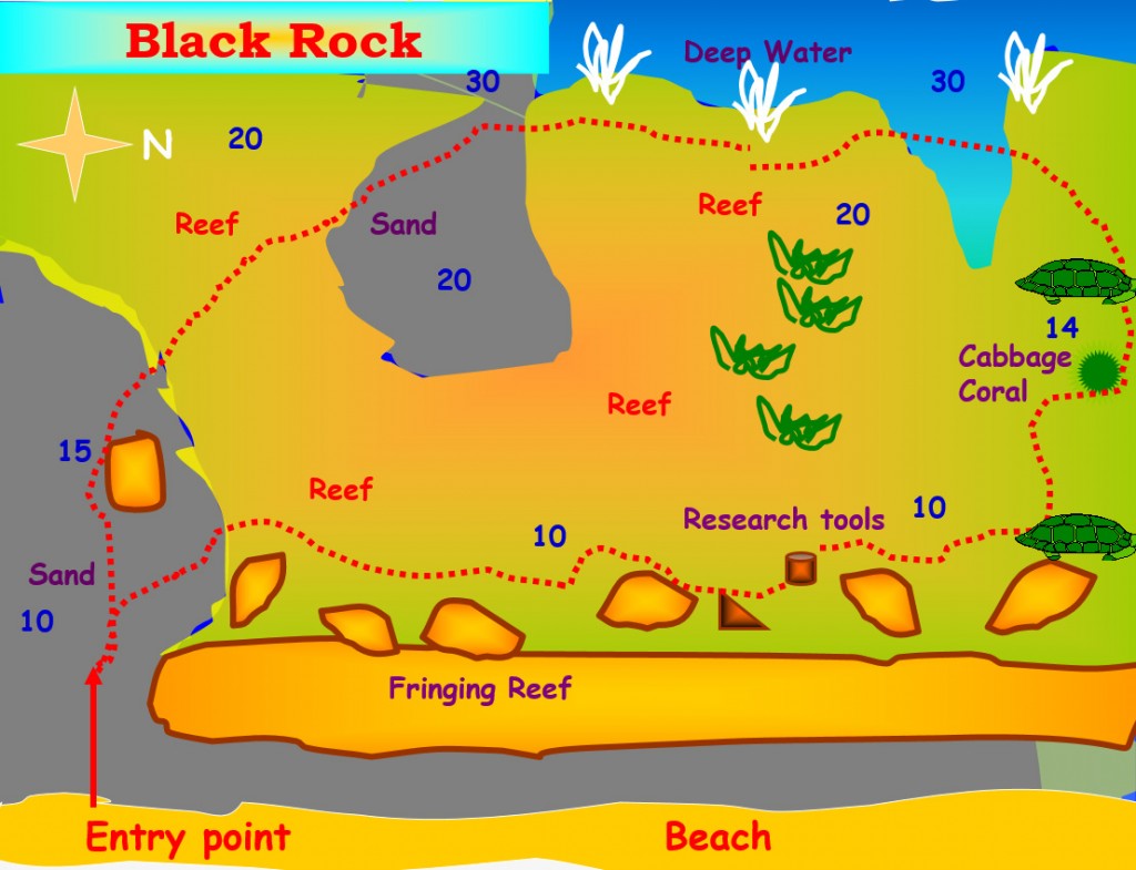 Black rock red sea aqaba dive site