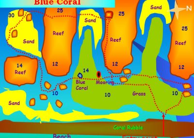 Blue Coral Aqaba dive site
