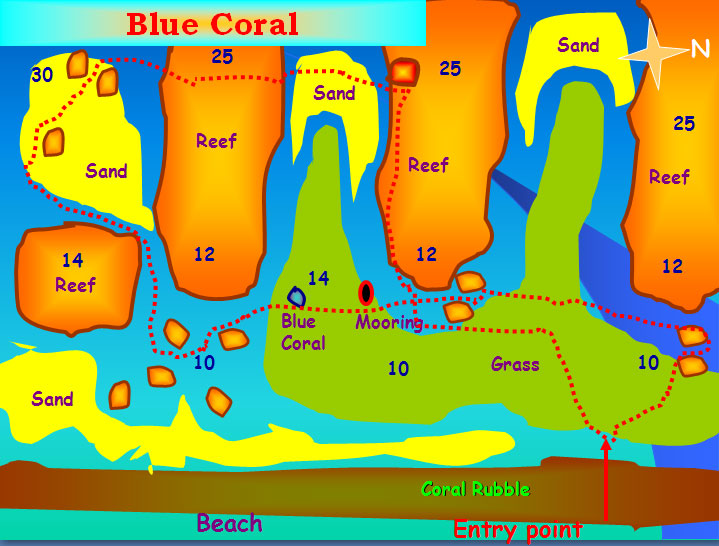 Blue Coral Aqaba dive site