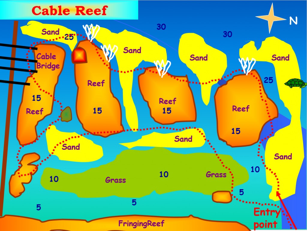 Cable Reef Aqaba dive site