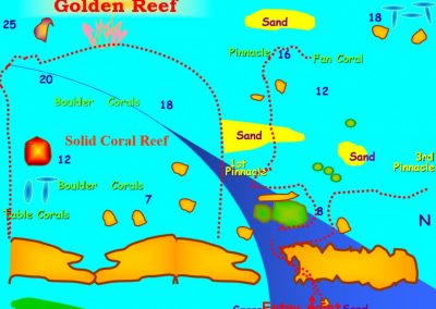 golden reef red sea aqaba dive site