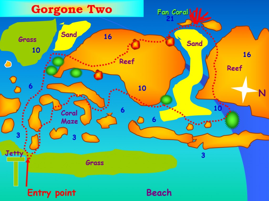 Gorgone II two Jordan Aqaba dive site