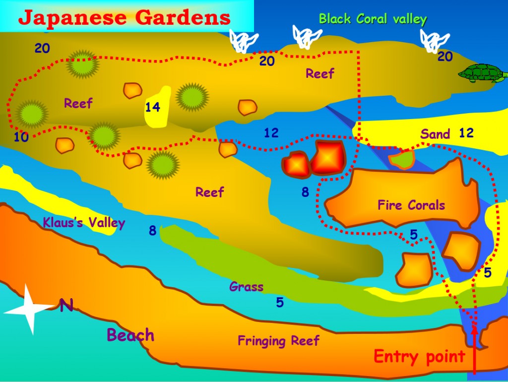 Japanese garden aqaba dive site jordan