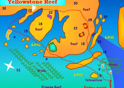 Yellowstone Reef Aqaba Dive Site