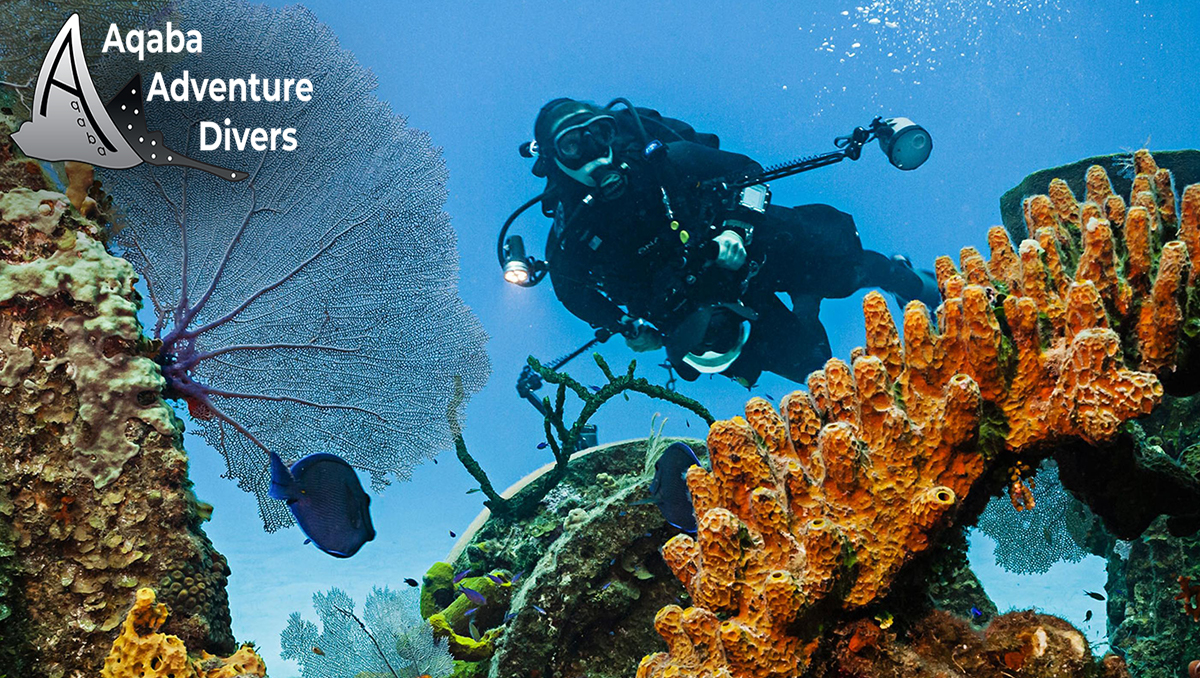 Yellowstone Reef Dive Site Site Map Aqaba Adventure Divers