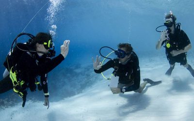 Best Time to Dive in Aqaba: A Month-by-Month Guide