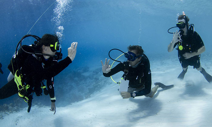 PADI Assistant Instructor Course - Scuba Diving in Aqaba Diving