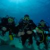 Dive in Aqaba, Red Sea - Aqaba Diving