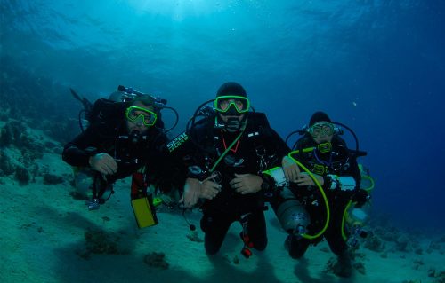 Dive in Aqaba, Red Sea - Aqaba Diving