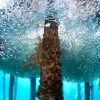 4 Four Two Days Guided Dives Package in Aqaba, Jordan