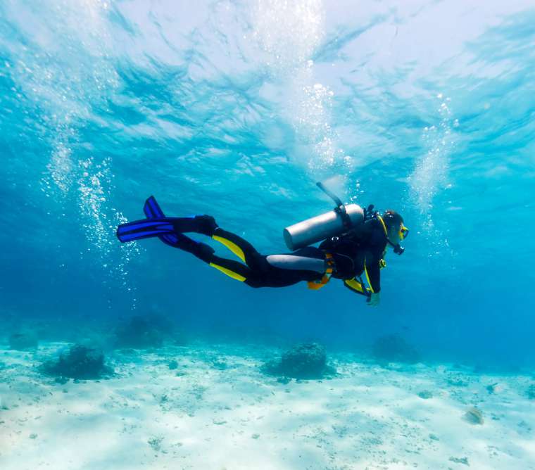 PADI Diving Courses in Aqaba - Entry Level Courses