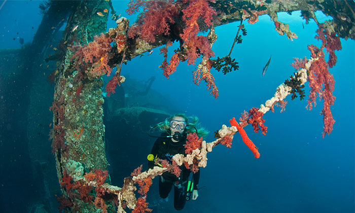 PADI Master Scuba Diver Course - Aqaba Diving