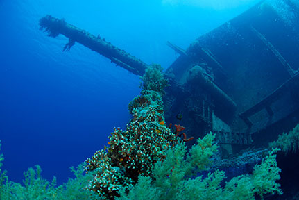 Diving Village in Aqaba, Red Sea