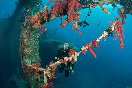 Diving Center in Aqaba, Red Sea