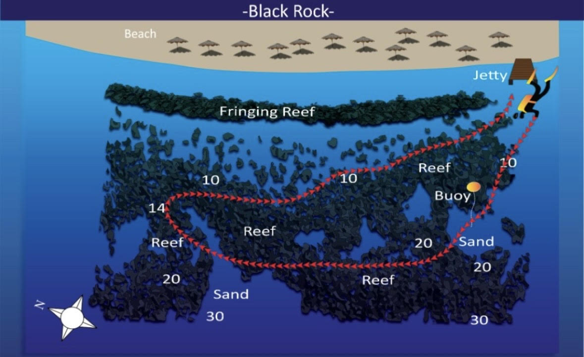 Black rock red sea aqaba dive site