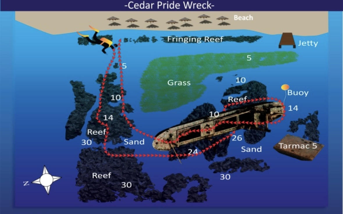 Cedar Pride Wreck Aqaba Dive Site