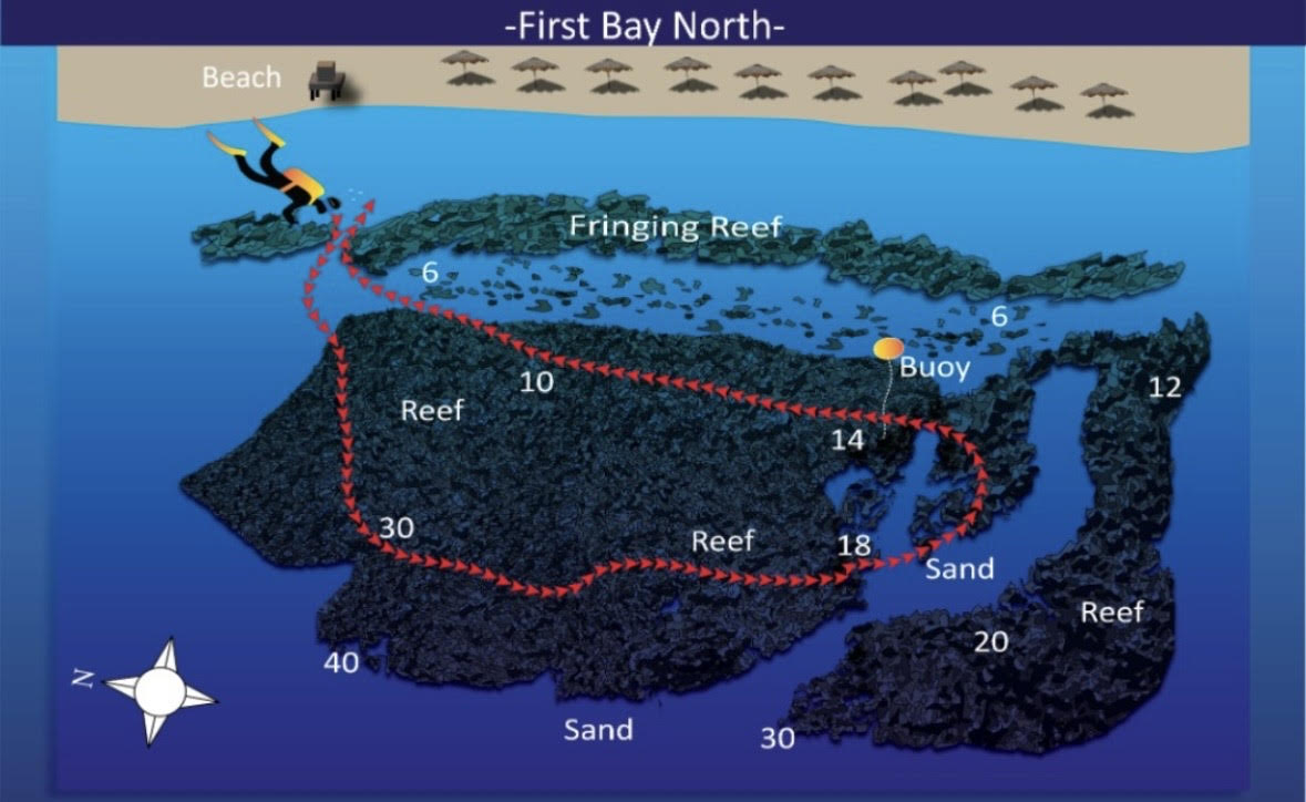 First bay north Aqaba Diving Site