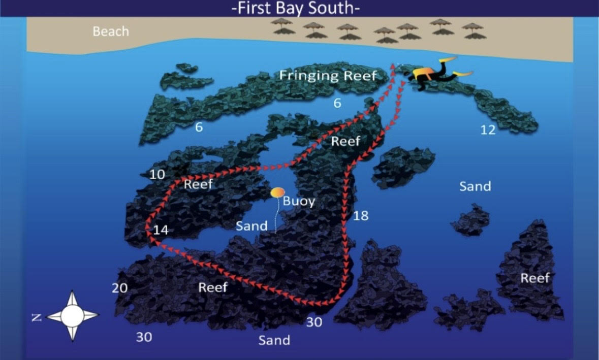 first bay south reef Aqaba dive site
