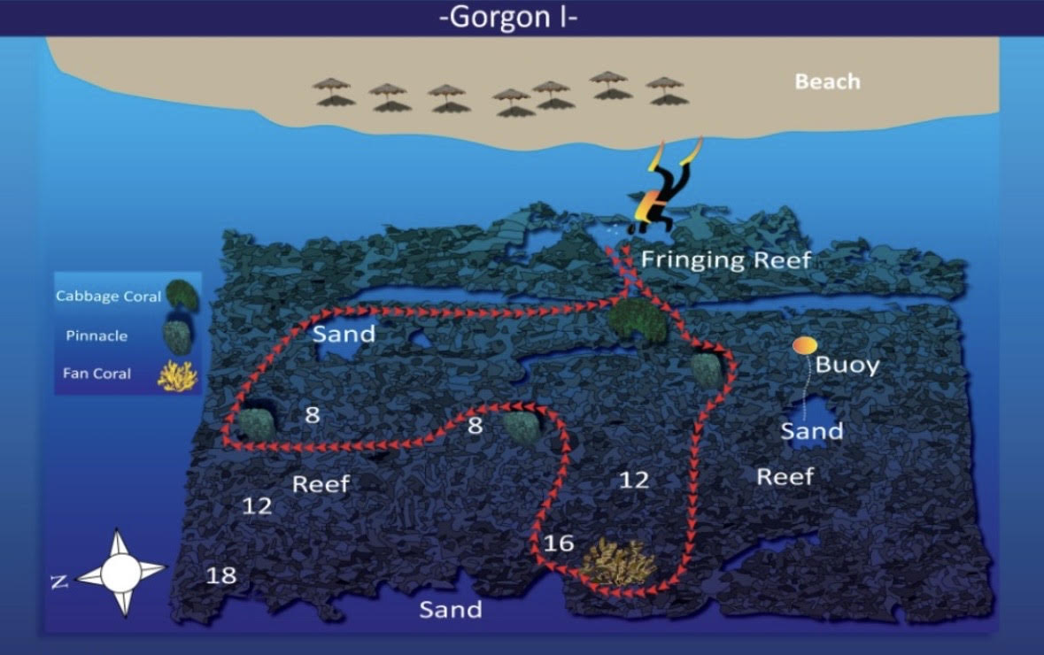 Gorgone I One Aqaba Dive Site