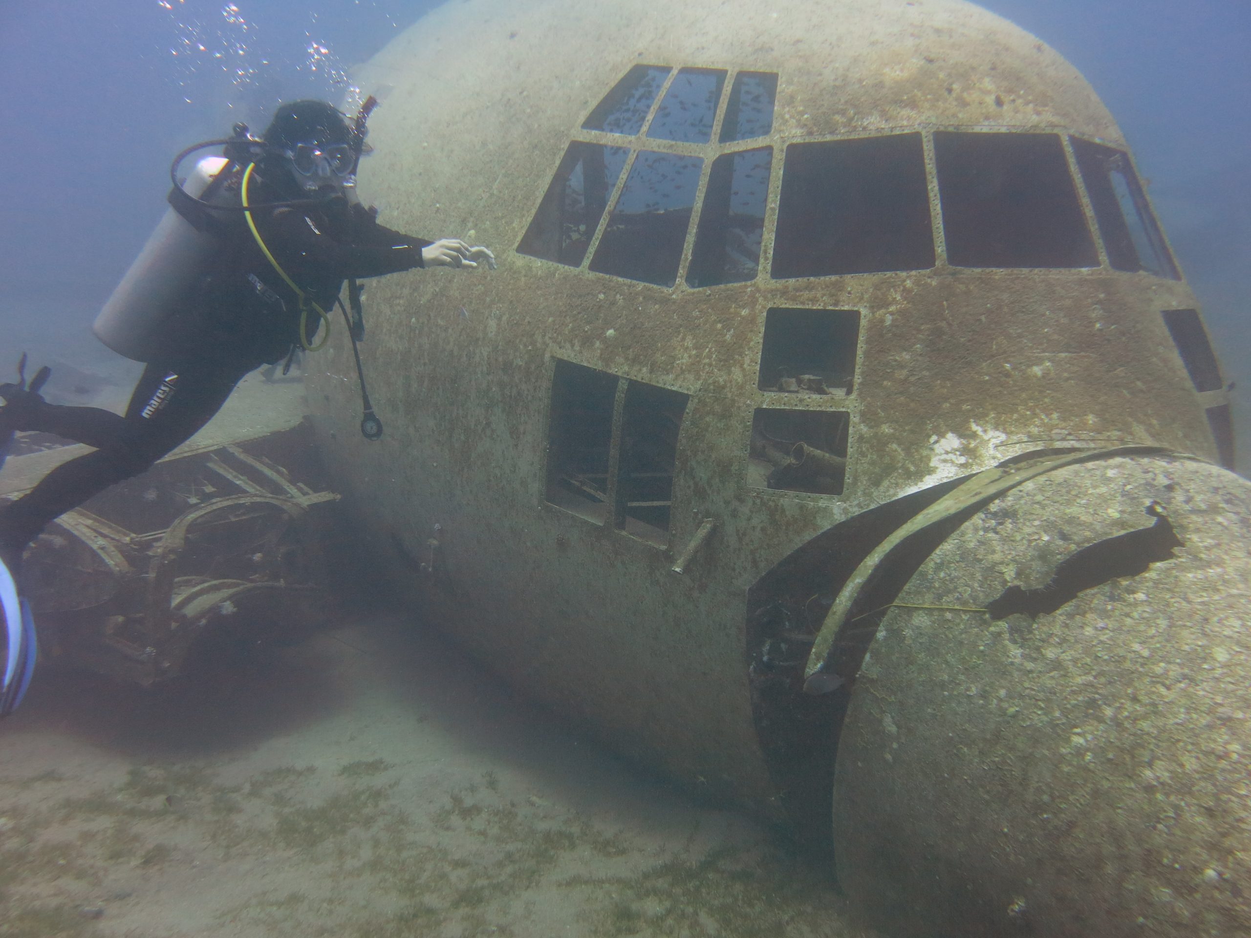 Hercules C-130 Aqaba