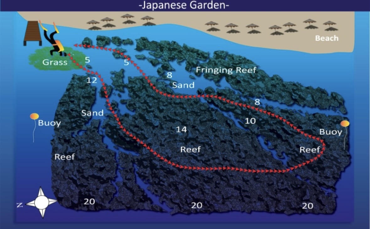 Japanese garden aqaba dive site jordan