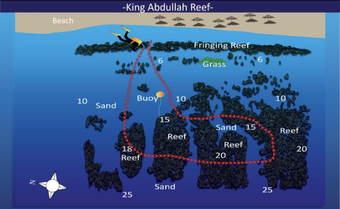 King Abdullah Reef Aqaba Dive Site