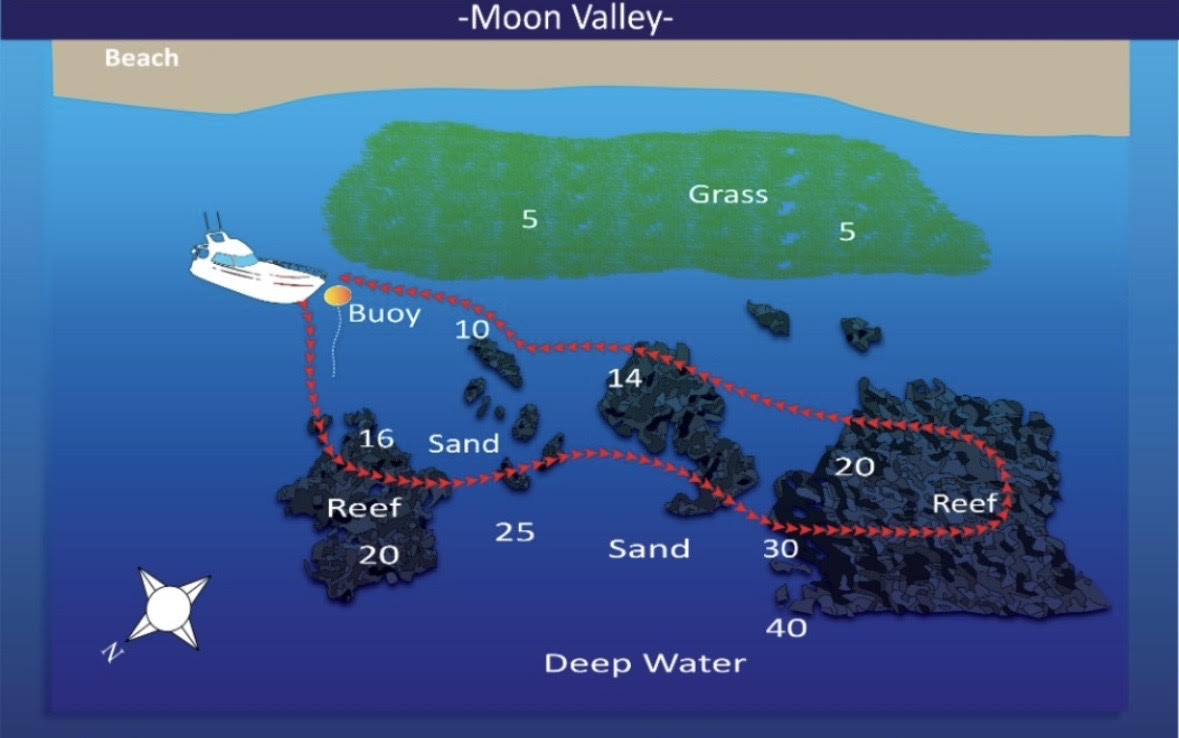 Ras Al Yamanya Aqaba Dive Site