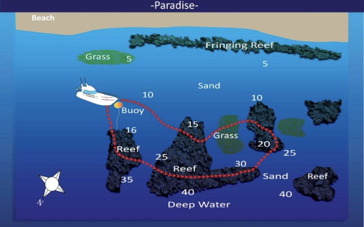 Ashrafs grotto aqaba diving site map