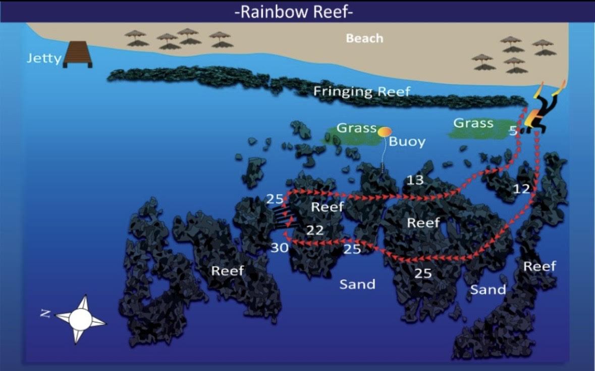 Cable Reef Aqaba dive site