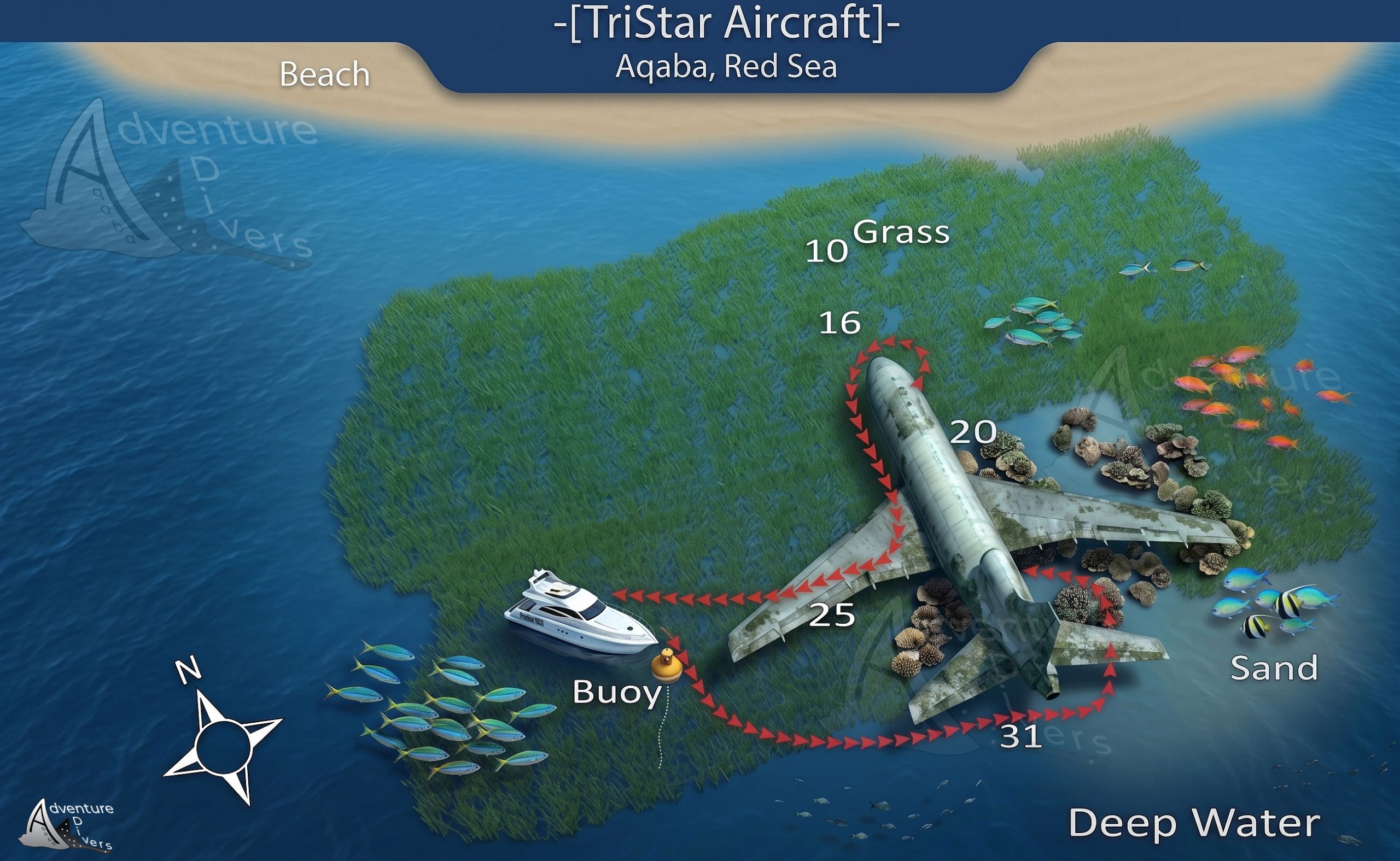TriStar-Aircraft-Aqaba-Dive-Site-AAD TriStar-Aircraft-Aqaba-Dive-Site-AAD