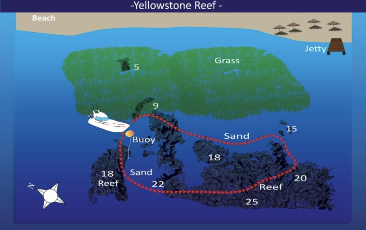 Yellowstone Reef Dive Site Aqaba