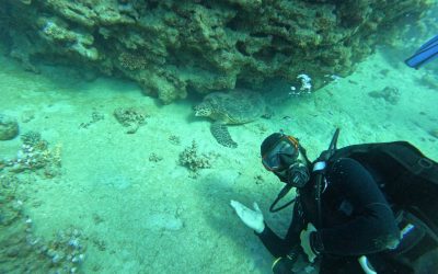 Scuba Diving in Aqaba, Jordan – The Complete Guide (2026)
